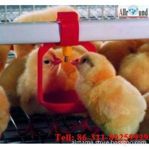 pullet rearing cages